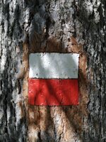 c246cb21203fb588001a520cd92c4c02ae6feddc