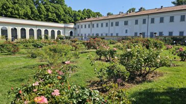 2026_roseto.jpeg