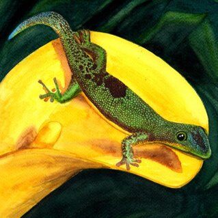 lucertola e calla-500x500.jpeg