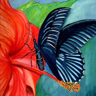 farfalla e ibisco-500x500.jpeg