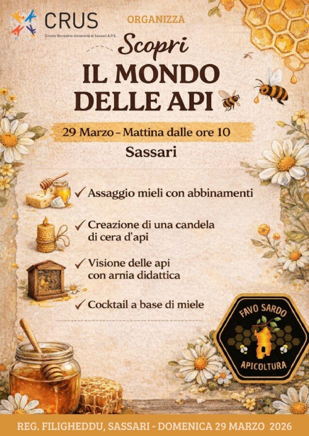 Scopri il mondo delle api