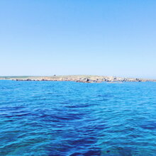 Isola di Mal di Ventre