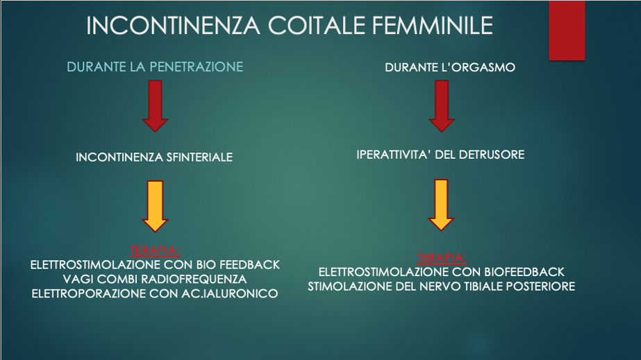 081a55b50d648655d44a34d05f69c44289b03b56