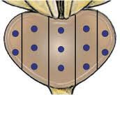 1f5a34de9b4a508f78ef2bac25267bde98a1a27a