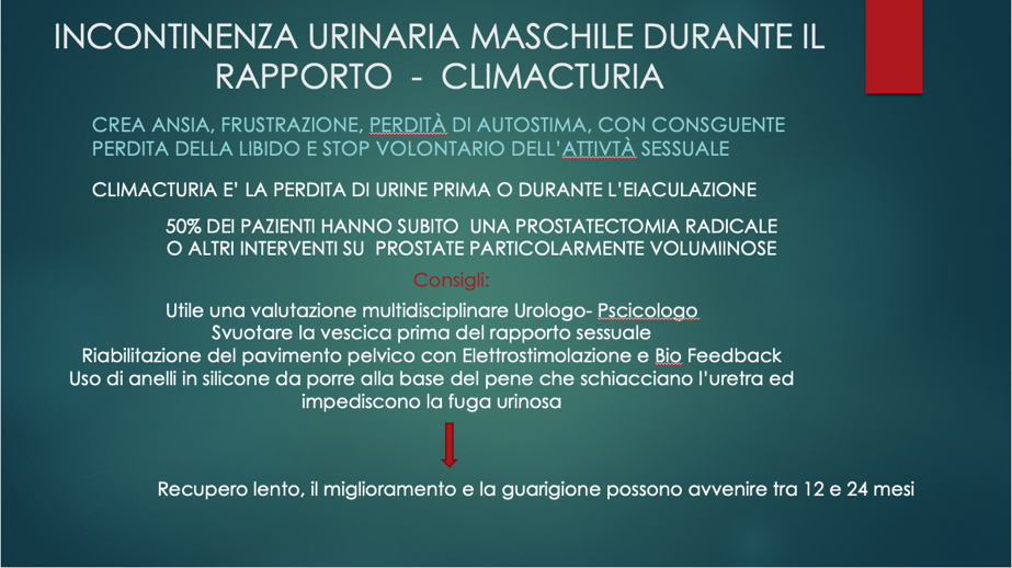 38b7023e5ef7d65af977c3d5105b4b066b27c2ce