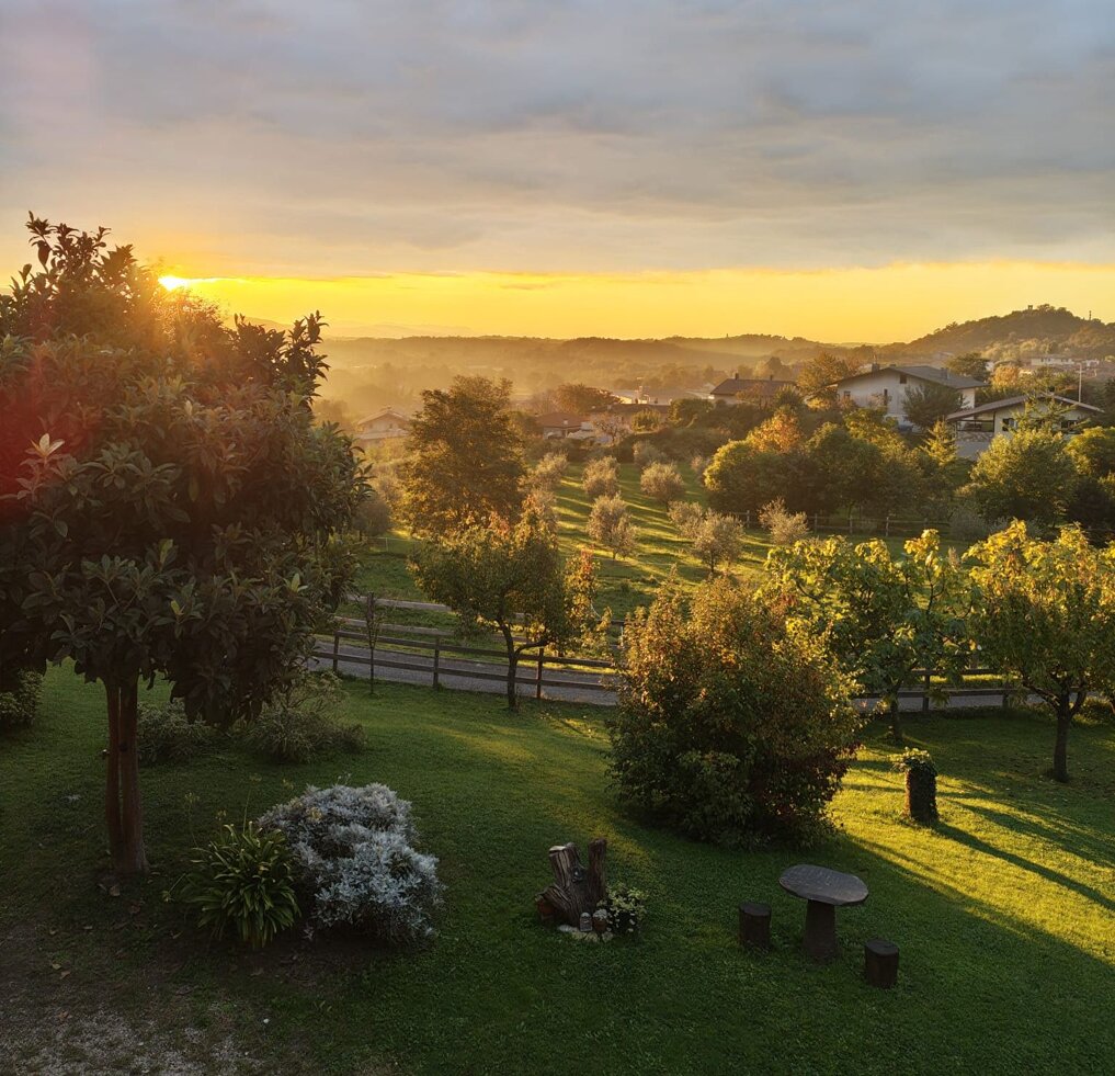 sentiero del bosco view.jpeg