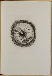 bc1f11df-6789-47aa-8011-c209d69e9634