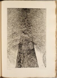 aae82e47-cd43-4fa7-b702-286f5bc8a3b3