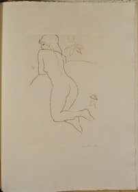 1ca5cf78-1d26-48d0-8d26-68dbe7d9f4d2