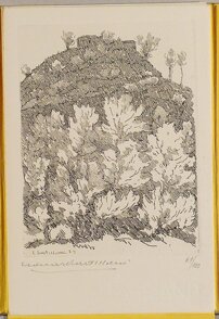 c3e3eba0-496a-42f7-9b98-6e2e76e0e372