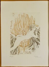 05ca635c-3ae7-47b3-804e-2c9fb2e7d749