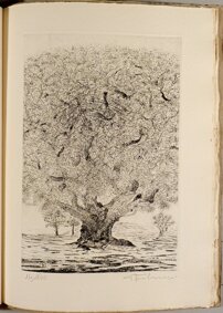 54d0a171-ce52-4ddc-8e40-f0af8360af7f