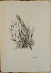 90ca305e-6c4d-4514-964e-64f256a44be4