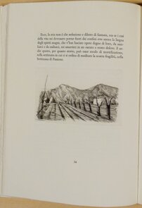 53e10836-ed36-4c0c-a829-61363e15f28a