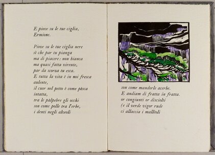 c0d88aa4-c9db-4d80-8940-a96974c74561