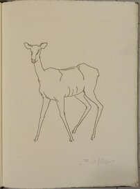 f8bdbe7d-59a4-49cc-b8a0-5515eac71ab5 f8bdbe7d-59a4-49cc-b8a0-5515eac71ab5