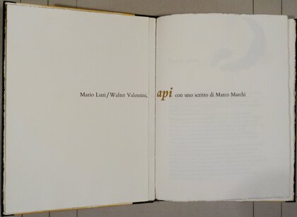 69fcac29-d1b5-4360-975b-45000adf4a8b