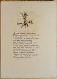 7811db44-7bfe-4469-86d1-6829549e7b50