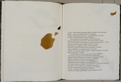 1cc9b5f3-3508-4e2d-92f3-11879c82a94c