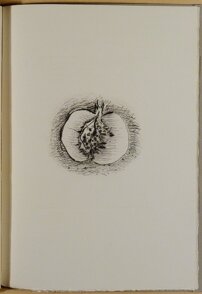 88f3babf-d2c9-4f4e-bd45-ca0f022b0036