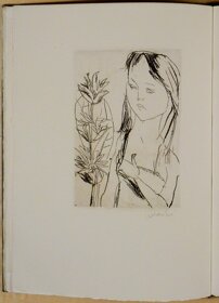 62faddb6-19aa-4d66-bc7d-2236501c8bb6