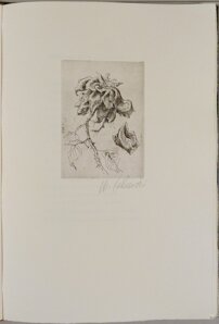 6065840d-72fc-4dd0-9f06-e83b04885df8