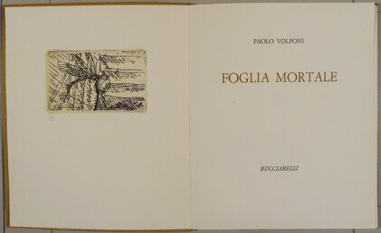 9da31ebd-cd95-4702-a016-c2f2d32e6114