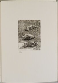 c05c644e-c0c4-41c1-a56d-aeb0c819d0ae