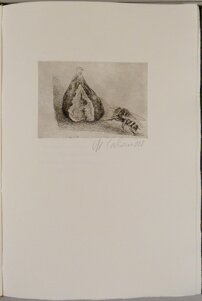 842498b1-f88d-46a1-a98a-1ac9151dc60e