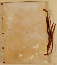 089cafbe-4a5d-4373-ba0e-98ecf0da63c5 089cafbe-4a5d-4373-ba0e-98ecf0da63c5