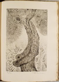 a22f3e3e-d182-4afa-b90d-7af148e035d0