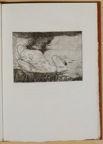 412ea6a9-239c-4704-8dfd-88f1d3a24e49