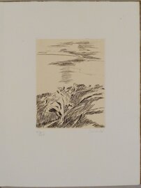 87208a80-f242-41b4-9e21-b858cb869c64