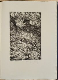 74b12650-e7d1-4c37-9cbf-f19c50604aa1