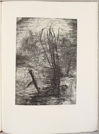 ca40b67a-efa4-4226-8e95-ea8e7f85ccd4