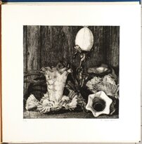 8fa946cf-8a0f-4aae-8490-f2b0c512e057 8fa946cf-8a0f-4aae-8490-f2b0c512e057