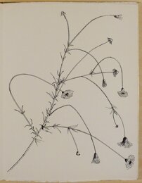 5801830b-935f-4d34-8615-edc5a41eeae6