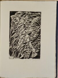 88da4338-1b61-4368-bc21-4ca08ae31d25