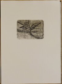 ba74df02-f25a-4b6a-b94d-9ea05c177e7e ba74df02-f25a-4b6a-b94d-9ea05c177e7e