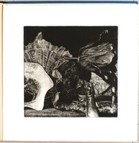 8e8ed4f2-742e-4f58-a7ec-42a600f44fd2 8e8ed4f2-742e-4f58-a7ec-42a600f44fd2