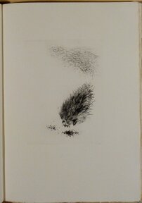 8e1bbf5b-d73a-4552-8b19-5168c3c0b7f6