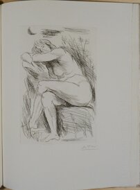 51e66579-b720-4166-8b5c-c25e8584adfb