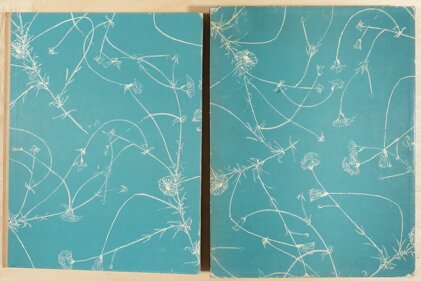 346f70b8-ad8e-4b5c-b17c-d66a72a4e690