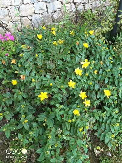 img_20230616_193550_163 (1).jpeg