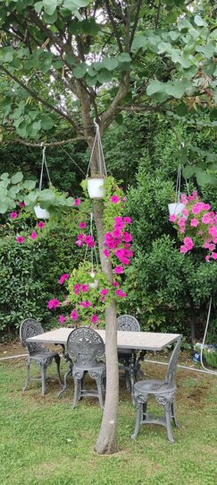 img_20210803_172024.jpeg img_20210803_172024.jpeg