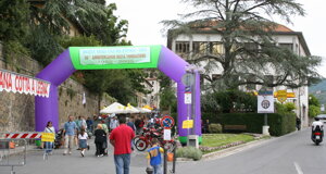 img_0264.jpeg