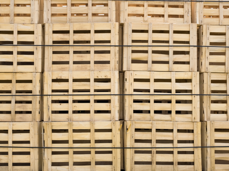 casse di legno