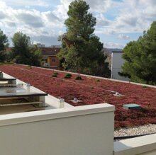 SCUOLA SECONDARIA DI I° GRADO 