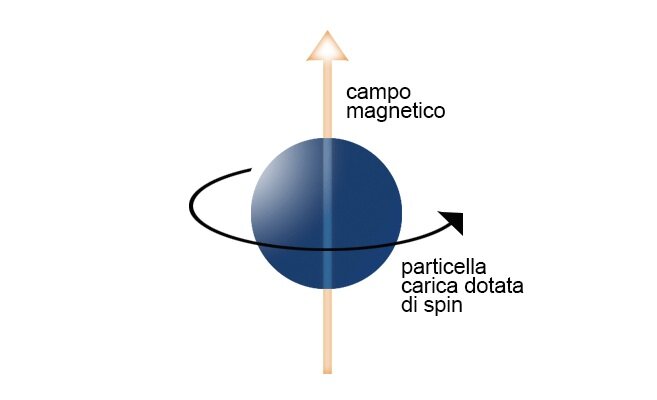 spin.jpeg