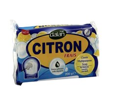 sc0040 - sapone multiuso gr. 200 citron.jpeg